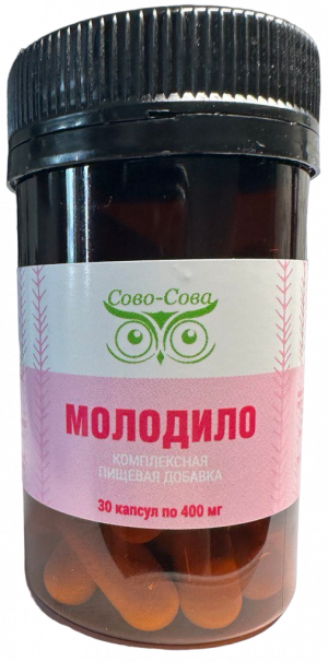 Молодило Молодило